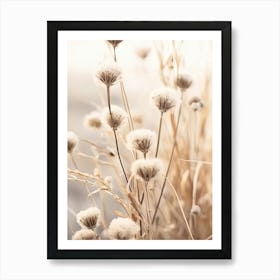 Dried Plants 1 Art Print