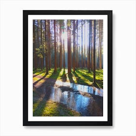 Forest Lights Art Print