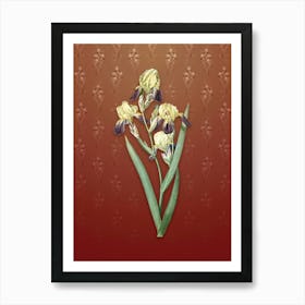 Vintage Elder Scented Iris Botanical on Falu Red Pattern n.0506 Art Print