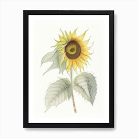 Sunflower Leaf Art Print