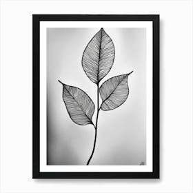 Leaf In Black And White Art Print