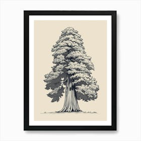 Sequoia Tree Minimalistic Drawing 4 Art Print