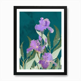 Purple Iris Art Print