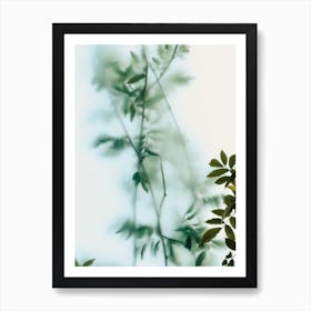 Leaves And Frosted Glass Art Print
