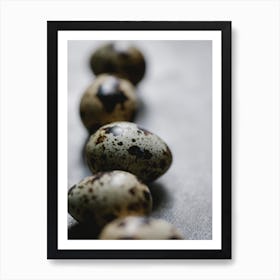 Quail Eggs 11 Art Print