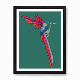 Hummingbird003 Art Print
