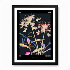 No Rain No Flowers Poster Queen Annes Lace 4 Art Print