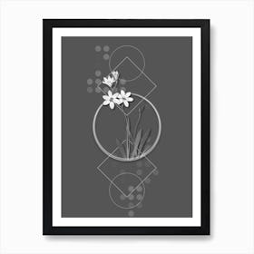 Vintage Ixia Grandiflora Botanical with Line Motif and Dot Pattern in Ghost Gray n.0366 Art Print