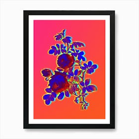 Neon Sulphur Rose Botanical in Hot Pink and Electric Blue n.0030 Art Print