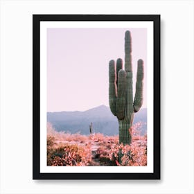 Desert Cactus Photo Art Print