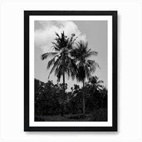 Palm Trees In Black Art Print