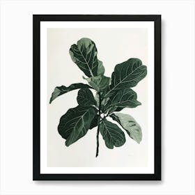 Fig Leaf Art Print