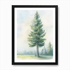 Douglas Fir Tree Atmospheric Watercolour Painting 1 Art Print