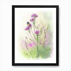 Prairie Clover Wildflower Watercolour Poster