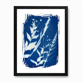 Vintage Botanical Plant Life Cyanotype Art Print