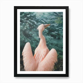 A Pink Pelican By The Emerald Color Water Art Print