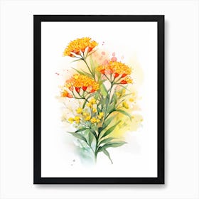 Butterfly Weed Wildflower With Sunset In Watercolor Style (3) Art Print