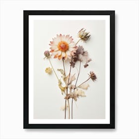 Pressed Flower Botanical Art Everlasting Flower 3 Art Print