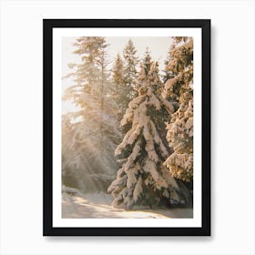 Sunny Winter Forest Art Print