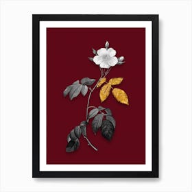 Vintage Big Leaved Climbing Rose Black and White Gold Leaf Floral Art on Burgundy Red n.0929 Art Print
