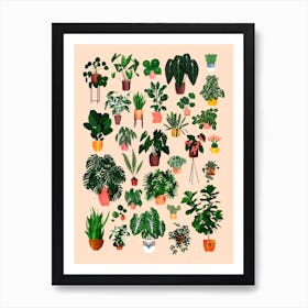 House Plant Collection Art Print