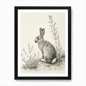 Thrianta Rabbit Drawing 1 Art Print