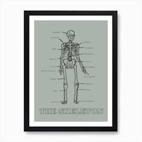 The Skeleton Art Print