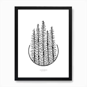 Pines   Os Art Print
