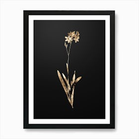 Gold Botanical Corn Lily on Wrought Iron Black n.2976 Art Print