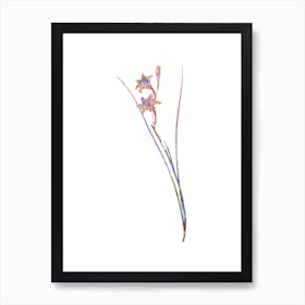 Stained Glass Gladiolus Mosaic Botanical Illustration on White n.0092 Art Print