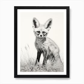 Bat Eared Fox In A Field Pencil Drawing 5 Art Print