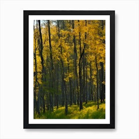 Autumn Trees In A Forest Art Print