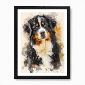 Bernese Mountain Dog Watercolor Painting 2 Art Print