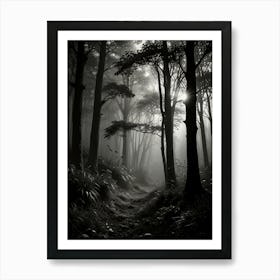 Dark Forest 3 Art Print