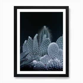 Dark Plant I Cacti I in Art Print