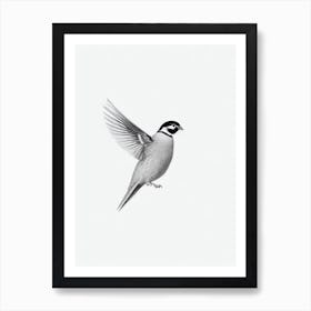 Partridge B&W Pencil Drawing 3 Bird Art Print