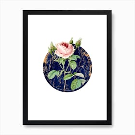 Vintage Rosa Indica Botanical in Gilded Marble on Clean White Art Print