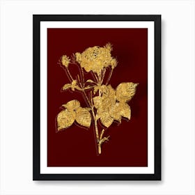 Vintage Pink French Roses Botanical in Gold on Red Art Print