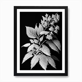 Spirea Leaf Linocut 1 Art Print