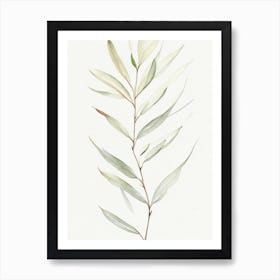 White Willow Leaf Minimalist Watercolour 2 Art Print