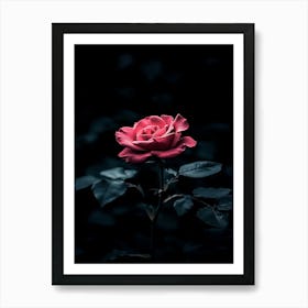 Dark Rose 67 Art Print