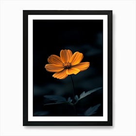 Dark Flower 4 Art Print