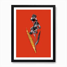 Vintage Dalmatian Iris Black and White Gold Leaf Floral Art on Tomato Red n.0253 Art Print