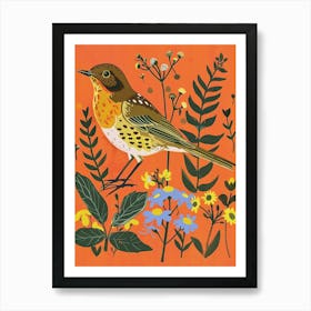 Spring Birds Hermit Thrush 2 Art Print