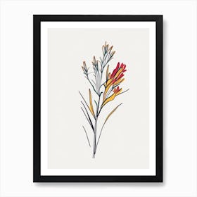 Kangaroo Paw Floral Minimal Line Drawing 1 Flower Art Print