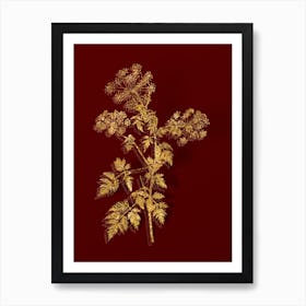 Vintage Hemlock Flowers Botanical in Gold on Red Art Print