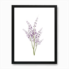 Lily Of The Valley Art Print