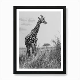 Giraffe In The Grass Pencil Drawing 5 Art Print