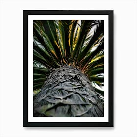 Palm Tree 7 Art Print