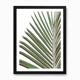 Botanical floral art 6 Art Print